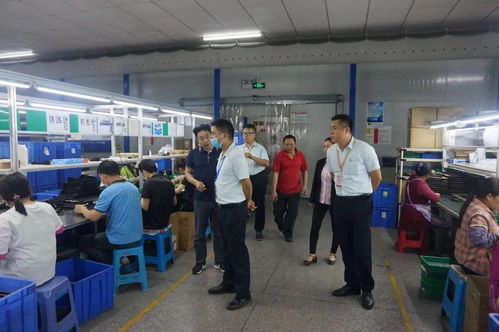 严执法查隐患 坦洲镇持续推动企业安全生产管理规范化 企业管理咨询